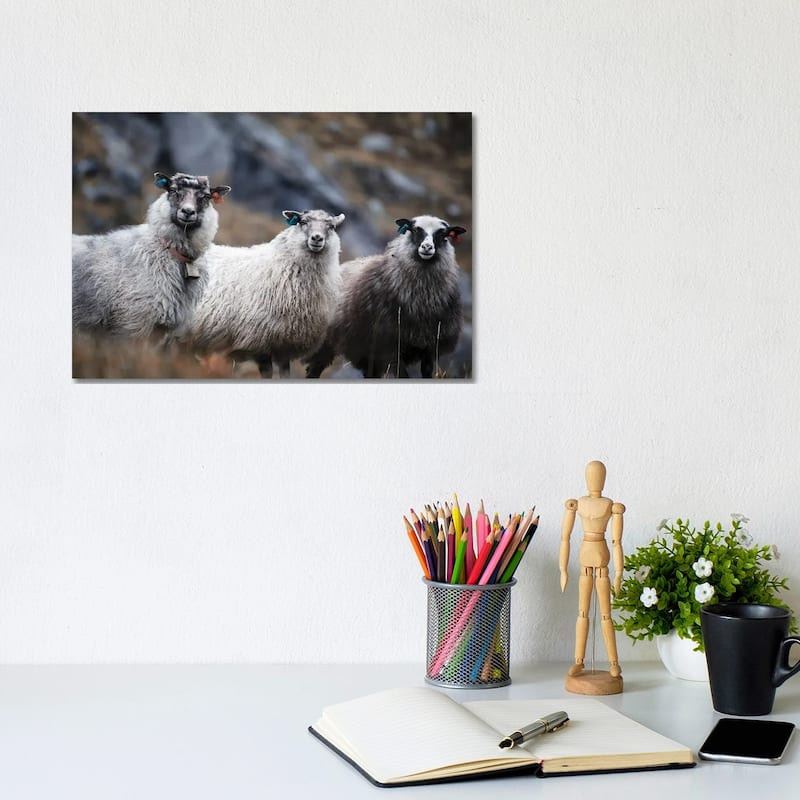iCanvas "Wool Entourage" by Andreas Stridsberg Canvas Print - 8x12x0.75