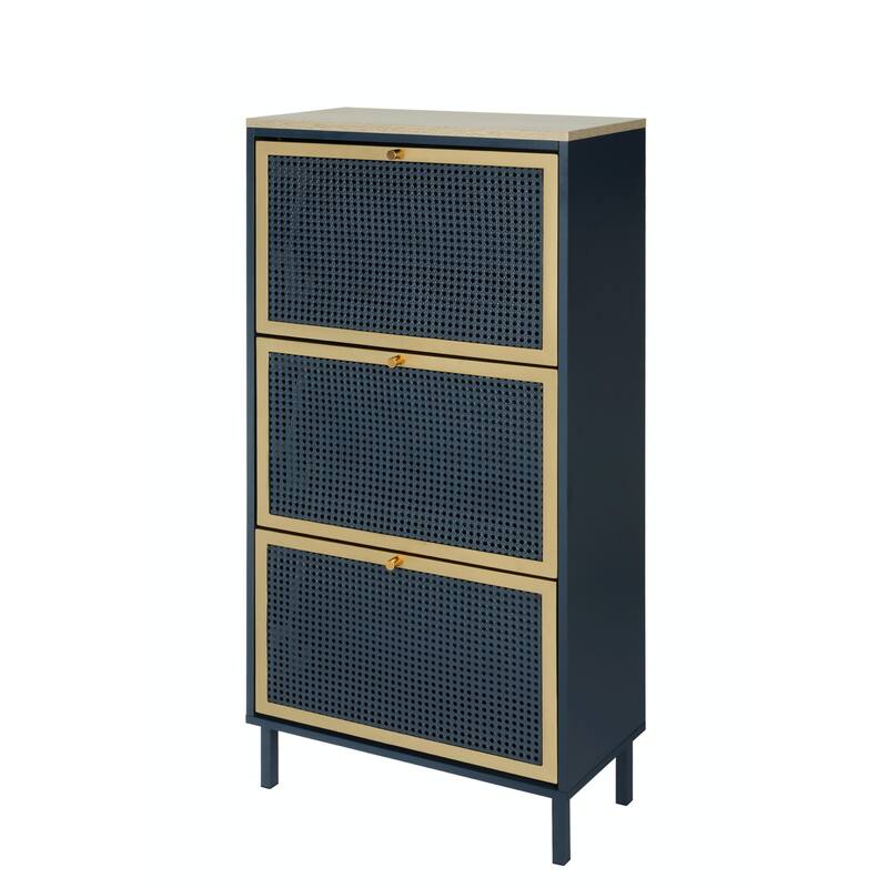 Modern Freestanding Shoe Storage Cabinet with 3 Metal Doors