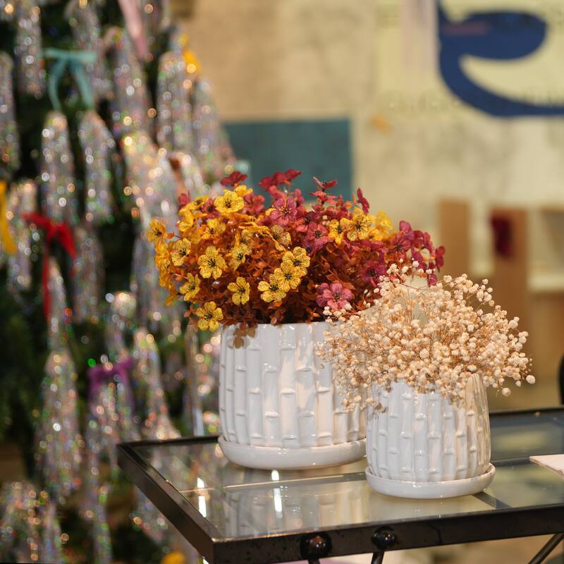 2 Pack Succulent Pots, 6" & 8" Mini Ceramic Plant Pots for Flower or Cactus Plants - White