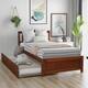 Option Walnut