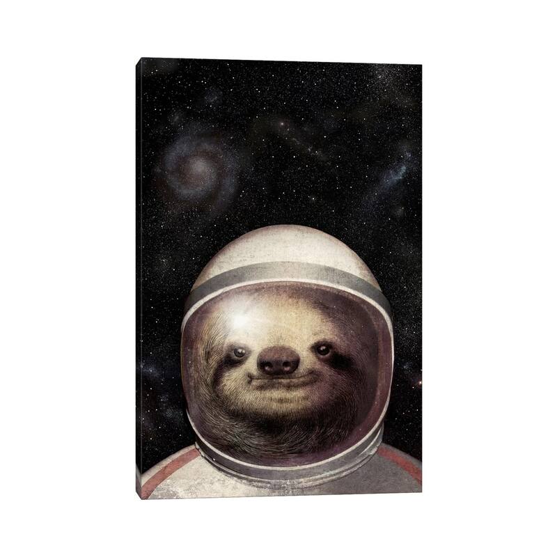 iCanvas "Space Sloth" by Eric Fan Canvas Print