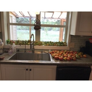 Shop Vigo Edison Chrome Pull Down Spray Kitchen Faucet On Sale