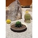 preview thumbnail 89 of 110, Mason Series Lane Bowl Planter