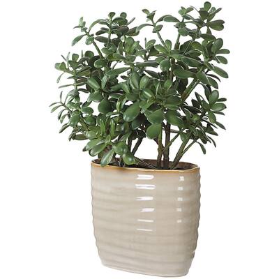 Uttermost 60226 Crassula Jade 23-1/2" Tall Ceramic Faux Flora Planter - Tan