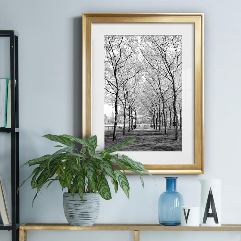 Pier a Park Premium Framed Print - Ready to Hang