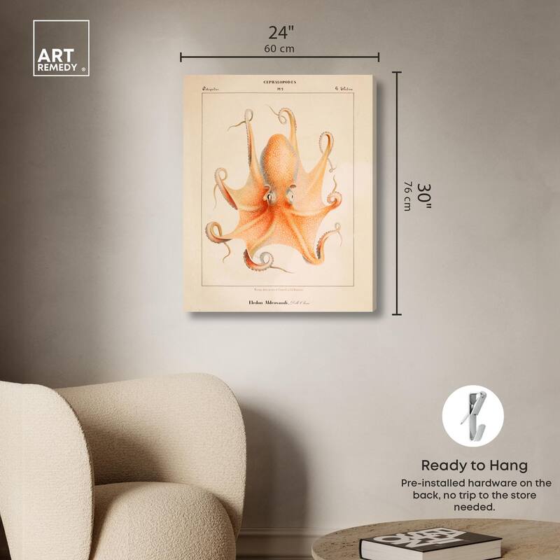 Verany The Octopus 1815 II Canvas by Art Remedy, Gallery Wrapped