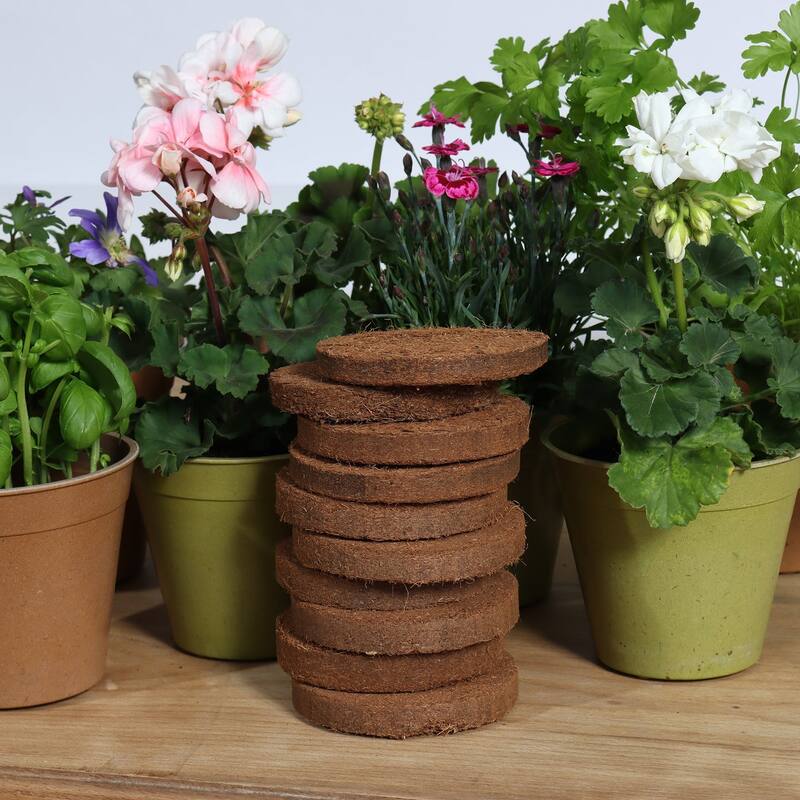 Alberta Fashion Brown Indoor Ceramic Plant Pot Kit with Soil Tools and Moisture Meter - 5.9" & 4.7" Dia