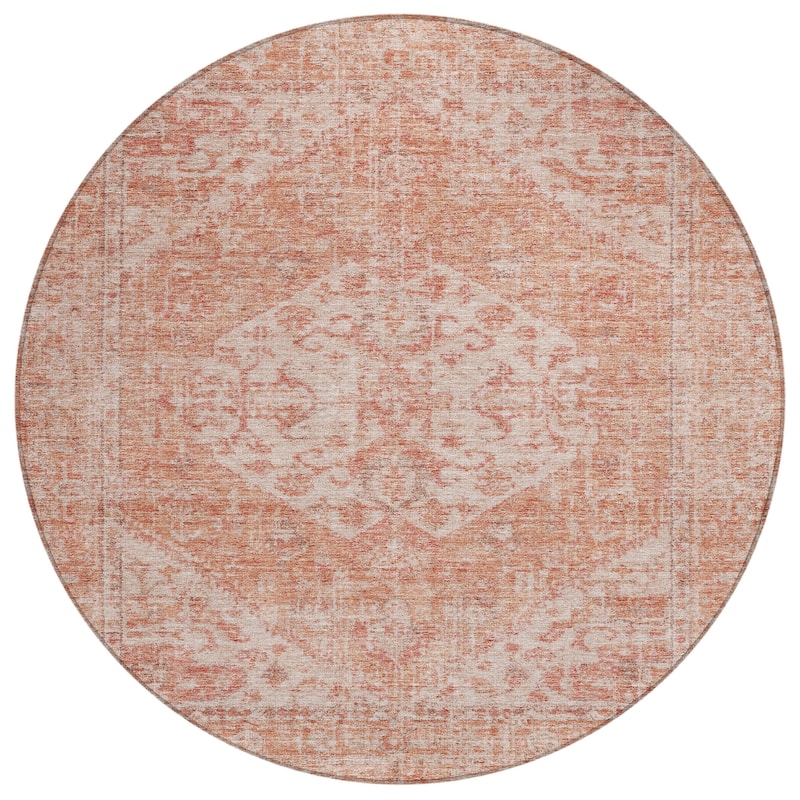 Machine Washable Indoor/ Outdoor Vintage Traditional Chantille Rug