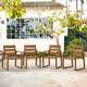 Option Teak