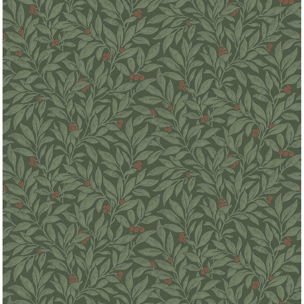 Winter Berry Evergreen Vine Wallpaper