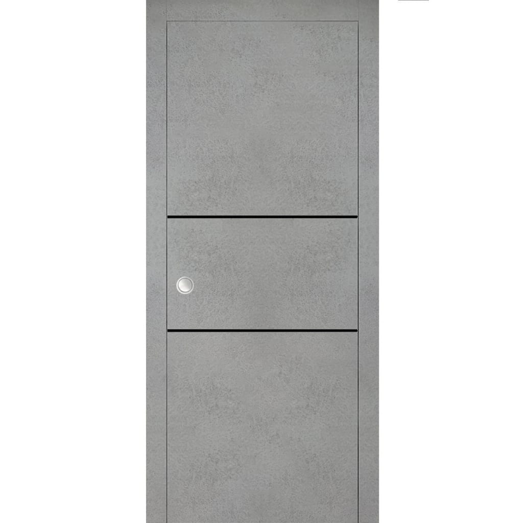 French Pocket Door 18 x 80 with Planum 0014 Concrete with Kit Trims Rail