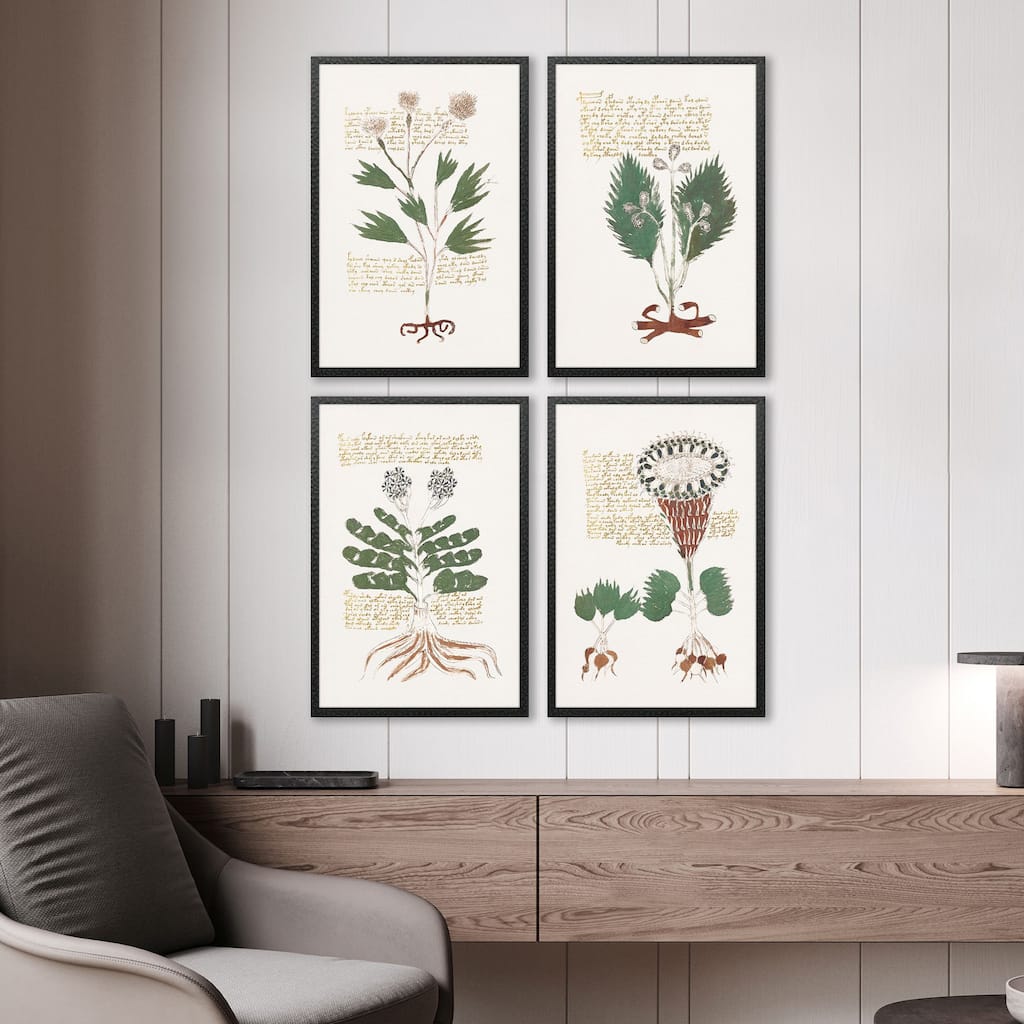 Paragon Magical Botany Framed Art - Set of 4