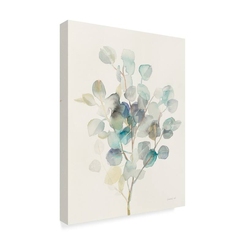 Danhui Nai 'Eucalyptus III' Canvas Art