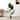 SAFAVIEH Banana 63-Inch Faux Plant, Green, Modern Home Decor - 39" W x 39" D x 63" H