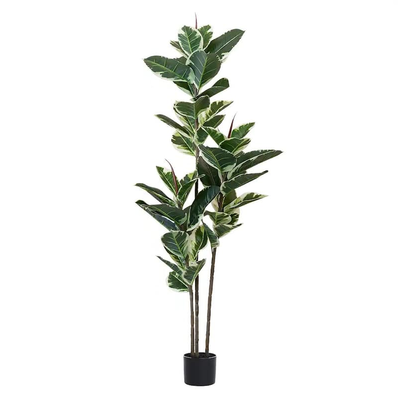 HomeRoots 63" Green Artificial Rubber Tree in a Black Pot - 6.69 in. x 62.99 in. x 6.69 in.