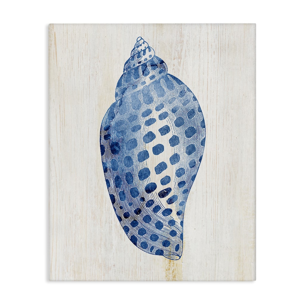 Stupell Spotted Blue Cowrie Shell Canvas Wall Art Design By Susan Arnot