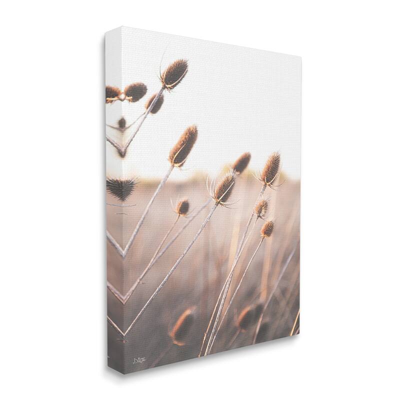 Stupell Industries Tranquil Plant Buds Sprouts Country Meadow Grass