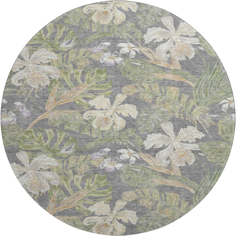 Premium Washable Super Soft Tropical Paradise Mayfield Rug
