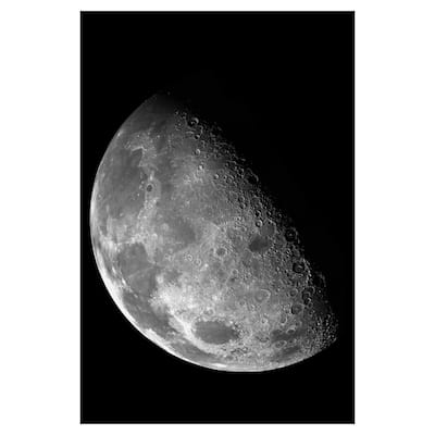 Moon Study by NS Canvas Art Print