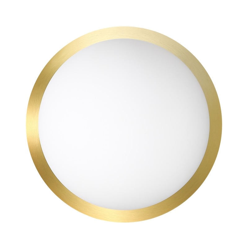 1-Light Damp Rated Brass Wall Sconce with White Glass Shade - 7 in.