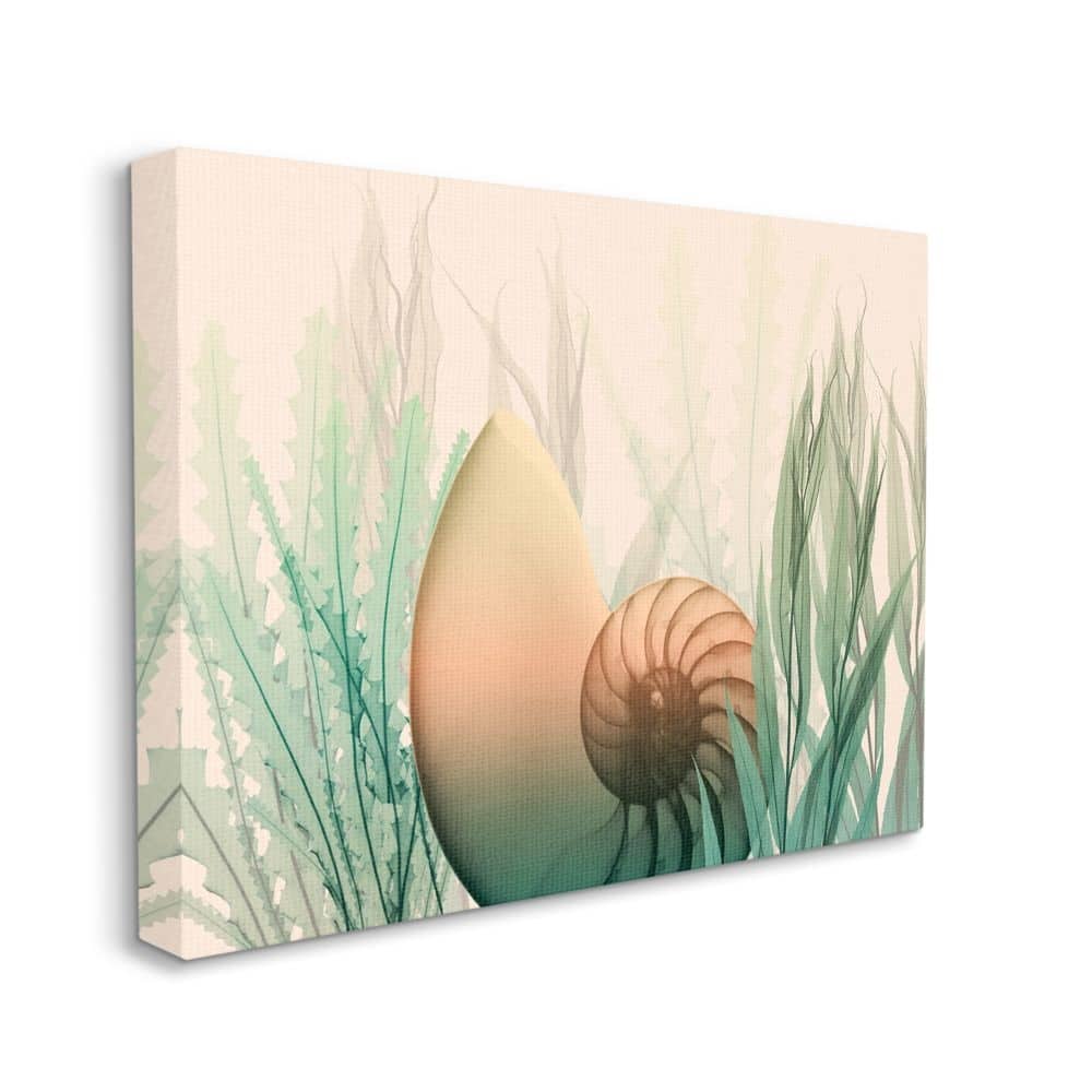 Stupell Ocean Seashell Seaweed Collage Design Canvas Wall Art
