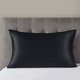 preview thumbnail 21 of 40, Madison Park Silk 100% Mulberry Single Pillowcase