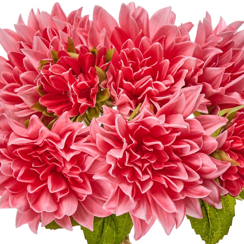 14"Pu Summer Dahlia Bundle