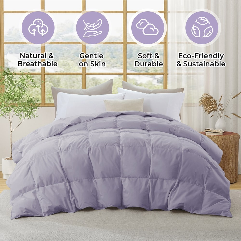 Medium Warmth 300TC Organic Cotton Down Comforter - 100% Natural, Chemical-Free, All Season Duvet Insert