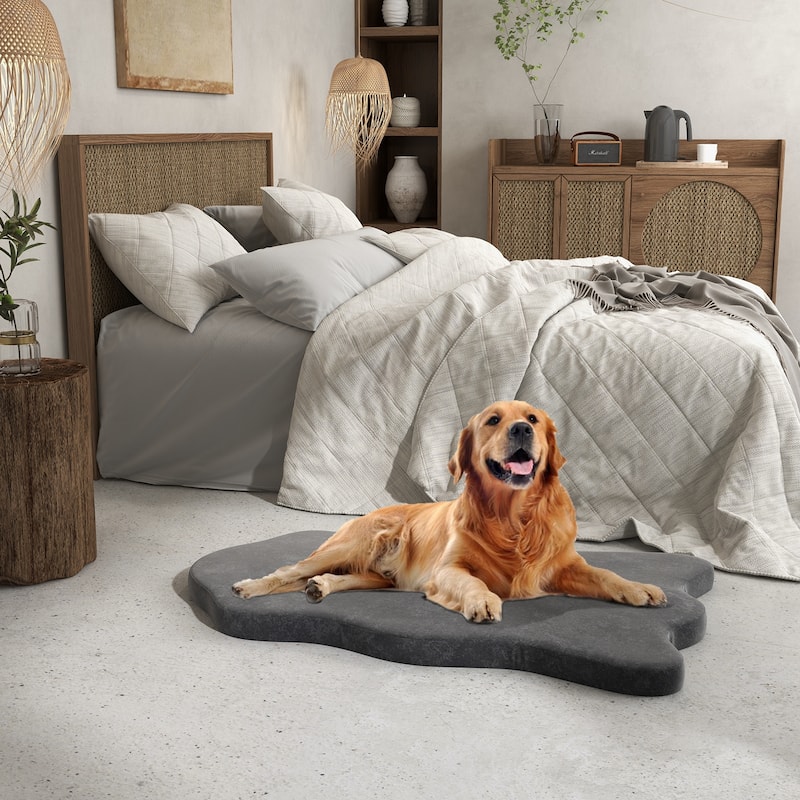 Orthopedic Dog Bed with Memory Foam Support for Large Dogs - 43"x 26" x 2"(L x W x H)