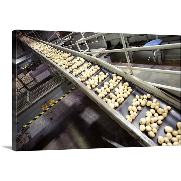 "Potatoes being processed on potato farm" Canvas Wall Art