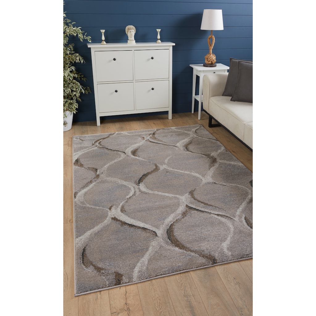 Domani Scene Transitional Charcoal Wave or Brick Area Rug