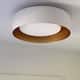 Option White