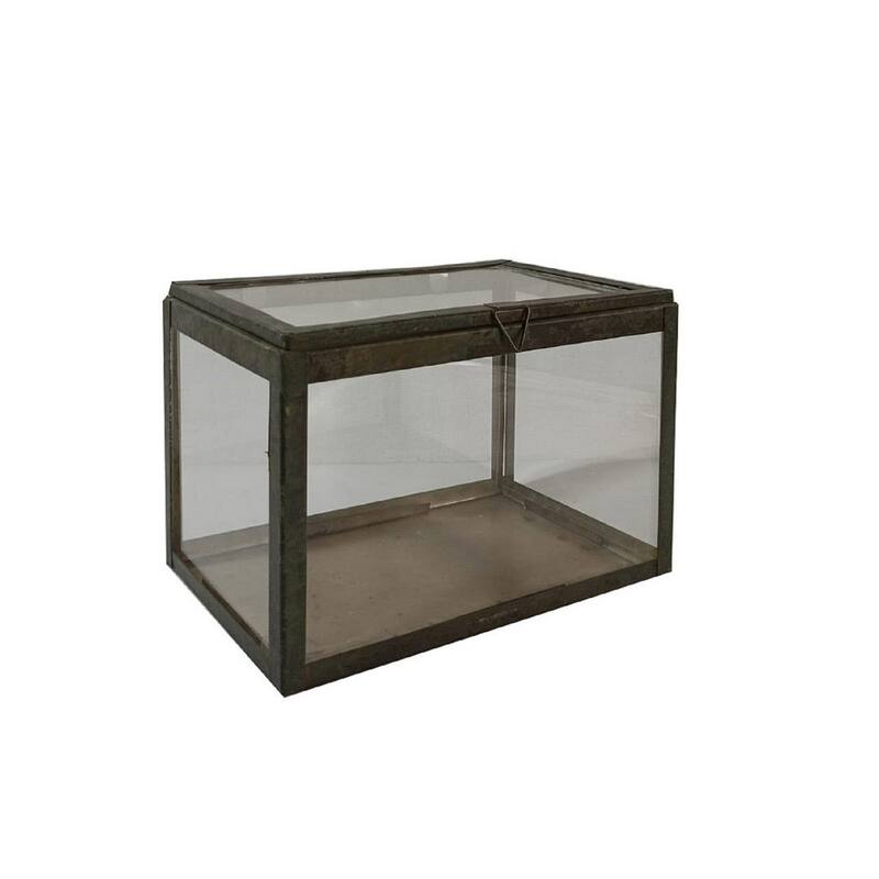 Rectangular Transparent Glass Tabletop Terrarium - 10.25"