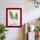 preview thumbnail 40 of 138, Nature Printed Ferns IX -Framed Print w/glass-Cherry Red
