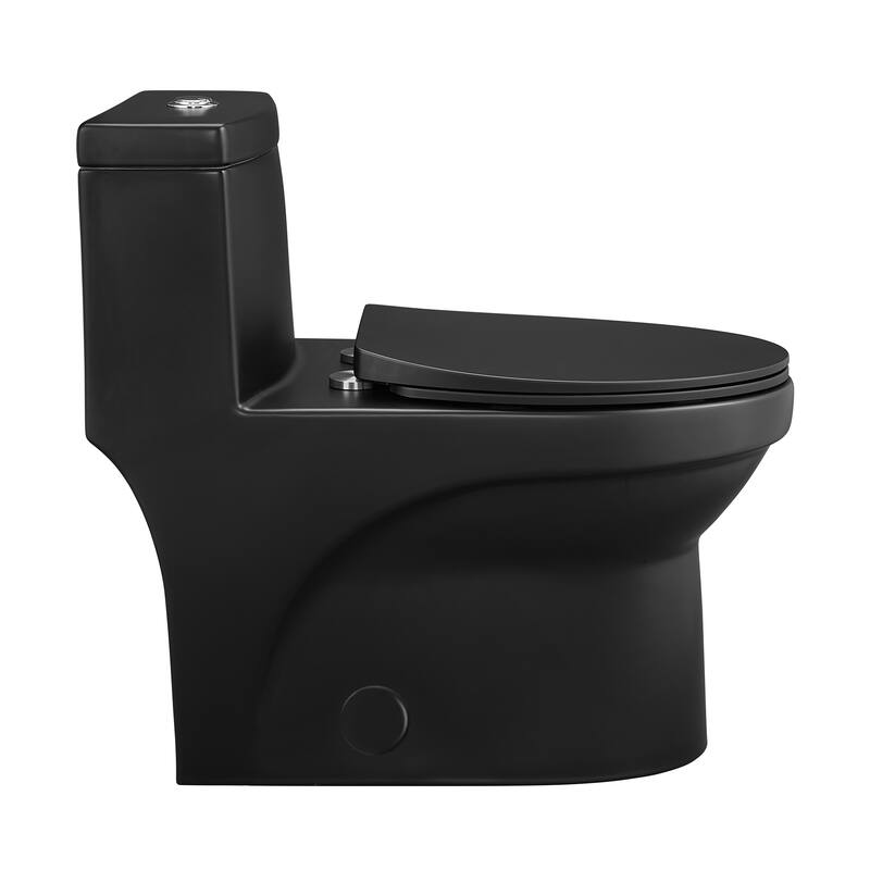 Tours One-Piece Elongated Toilet Vortex Dual-Flush 1.1/1.6 Gpf, Matte Black - 29.2" x 14.95" 28.4"