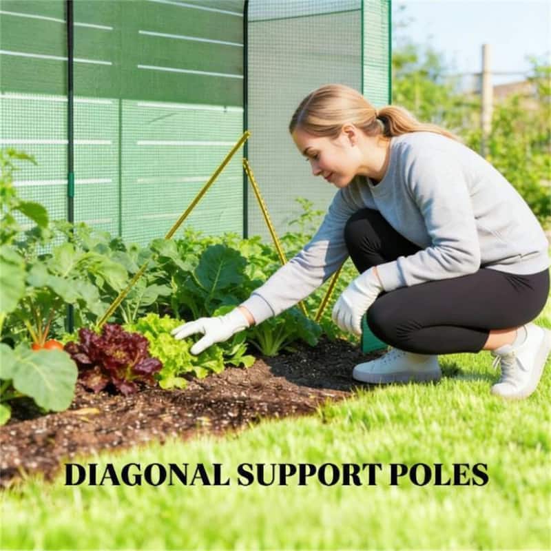 Mini Greenhouse, Portable Greenhouse, Planting Rack, Plant Rack, Green