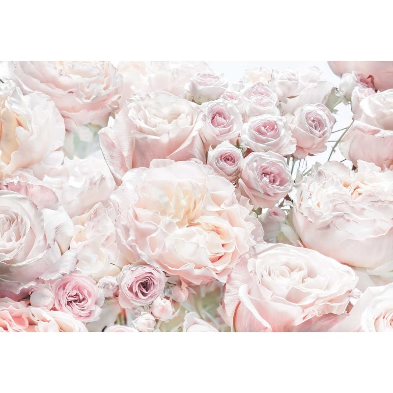 Komar Spring Roses Wall Mural