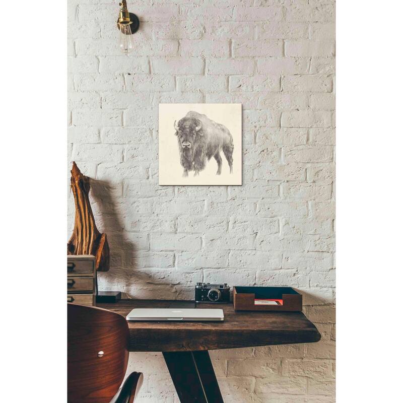 Epic Graffiti 'Western Bison Study' by Ethan Harper, Canvas Wall Art