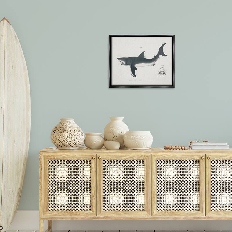 Stupell Detailed Shark Diagram Framed Floater Canvas Wall Art Design By Phillipa Katz