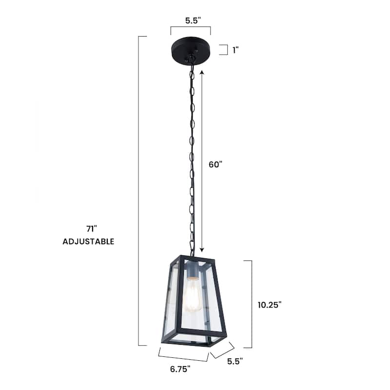 Light Society Serendipity Black/Clear Glass/Iron/Metal Pendant Lamp