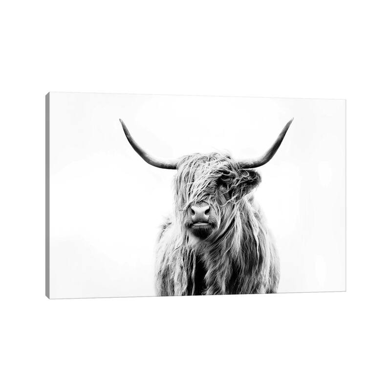 iCanvas 'Portrait Of A Highland Cow' Canvas Print by Dorit Fuhg