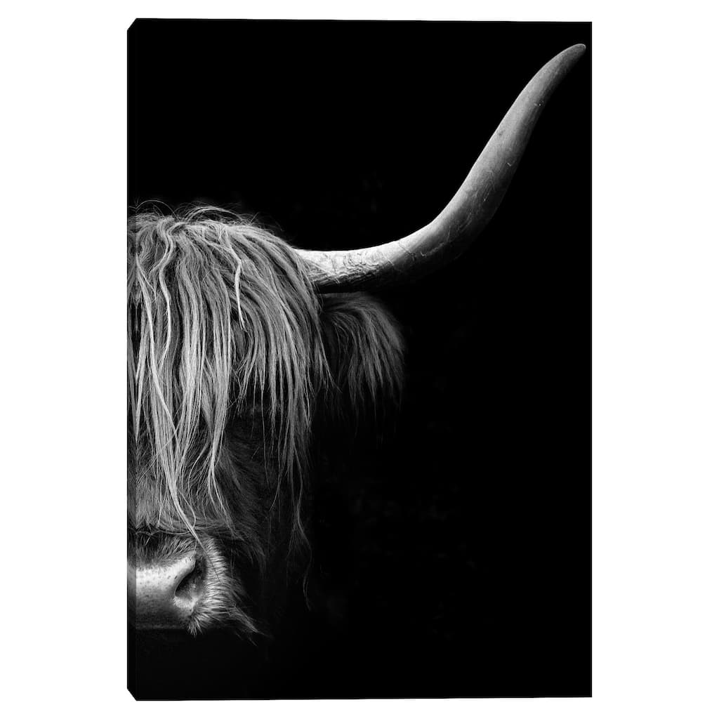 Face to Face by Belle Maison Canvas Art Print