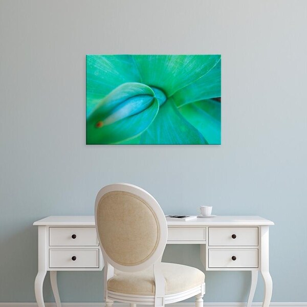 Easy Art Prints Brent Bergherm's 'Agave Plant Detail' Premium Canvas Art