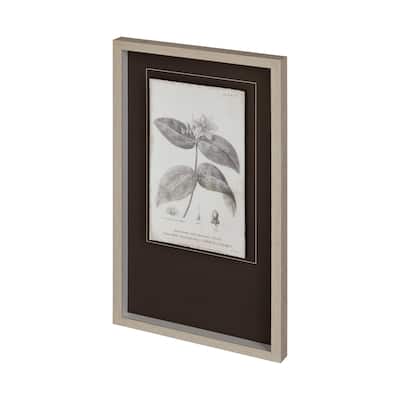 Conversations on Botany VIII Framed Art Print