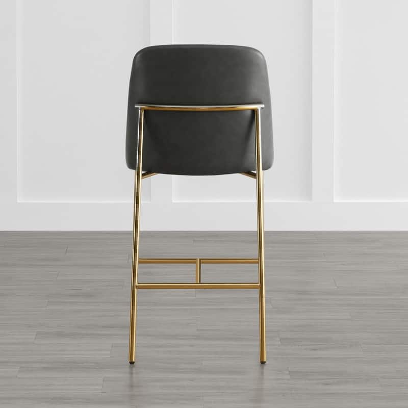 Evelyn Modern 27 inch Counter Height Bar Stool Set of 2