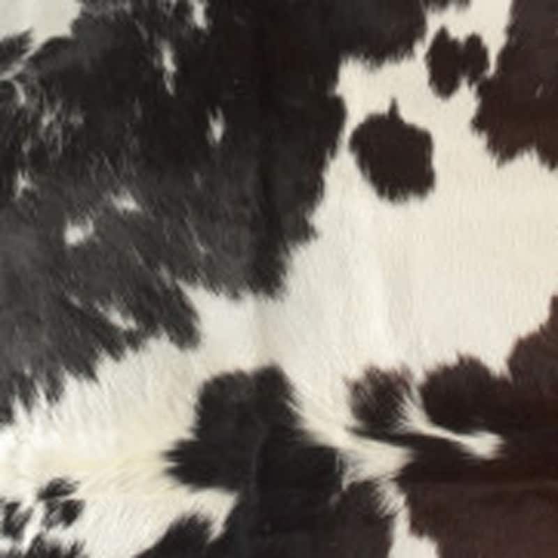 Mivi Low Pile Durable Area Rug By HomeRoots - 84' X '72' X '0.1