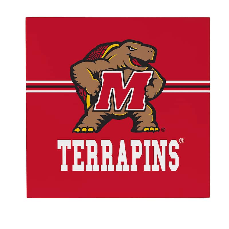 University of Maryland Wooden Door Decor Wall Sign - Multi-Color