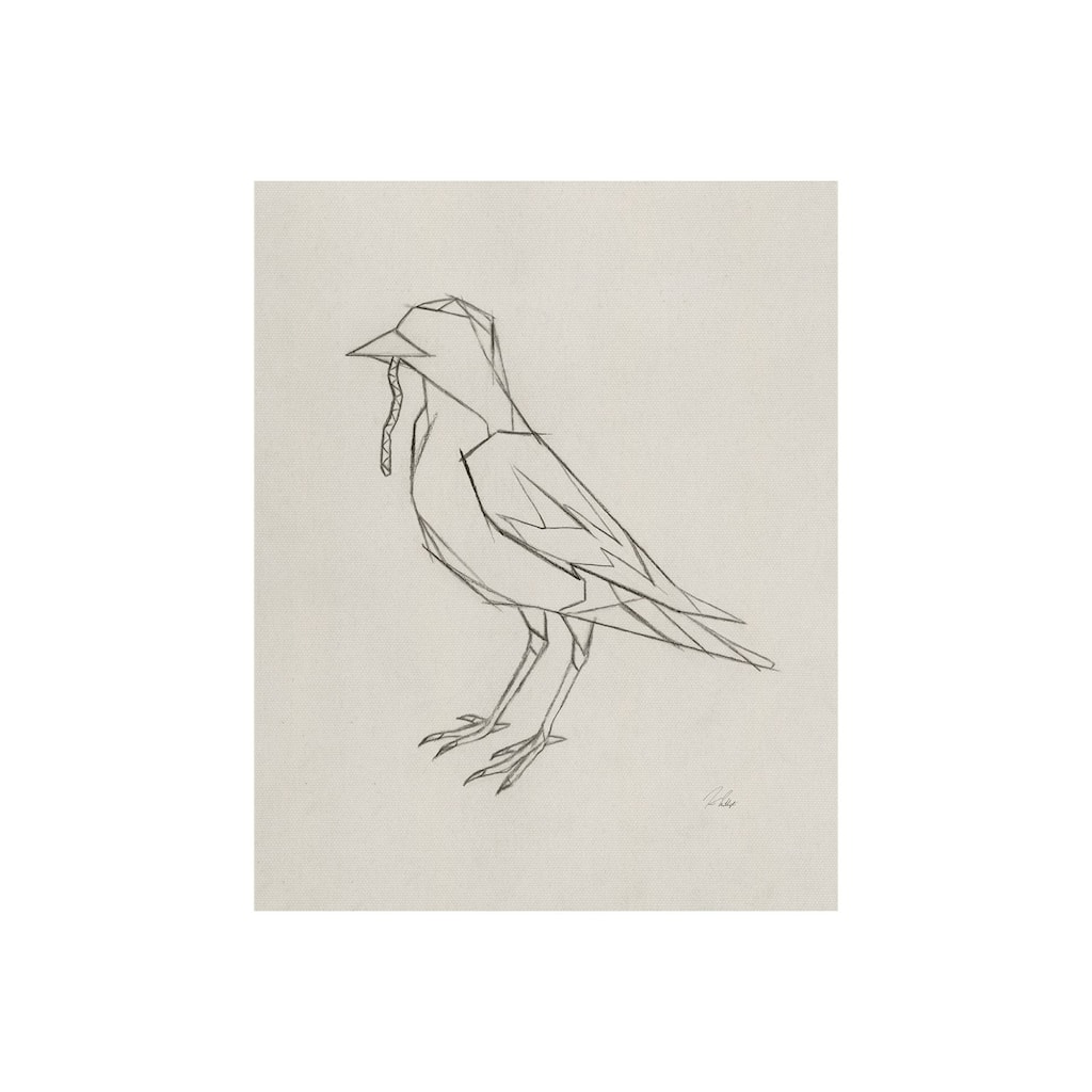 Geo Robin (20 x 25) Canvas Art Print