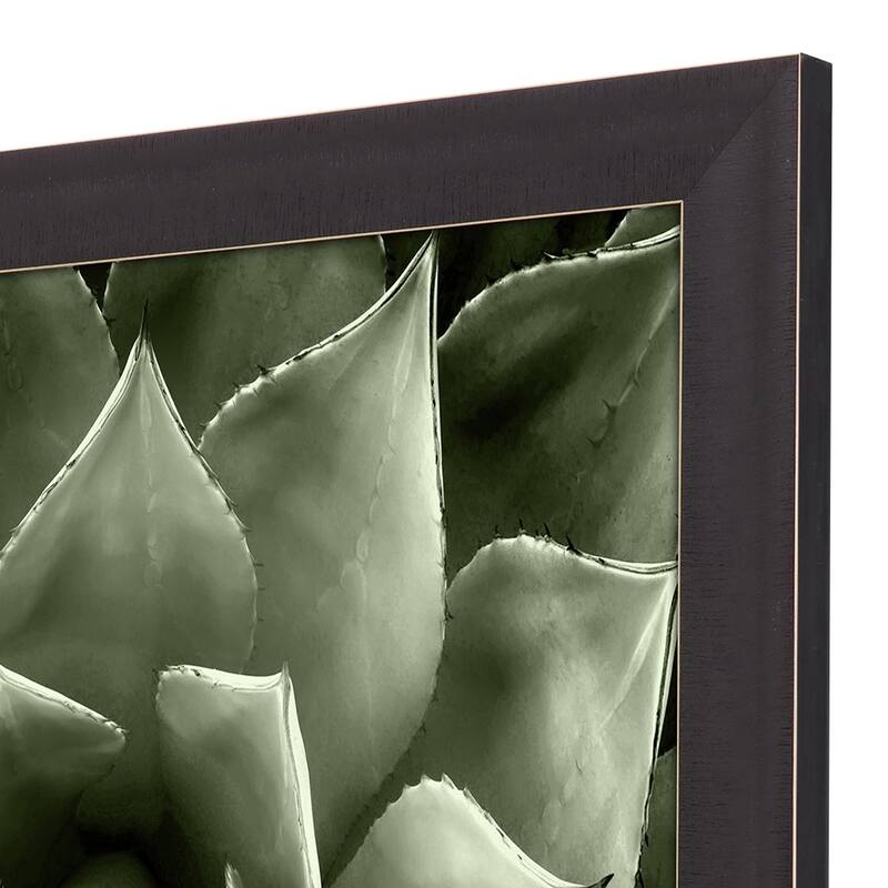 Green Succulent II Framed Art Giclee Under Glass