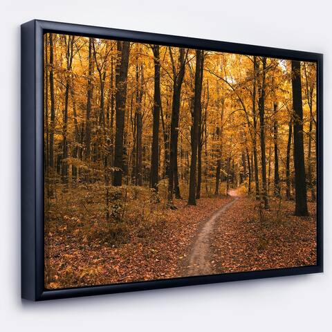 Designart 'Path in the Yellow Fall Forest' Modern Forest Framed Canvas Art
